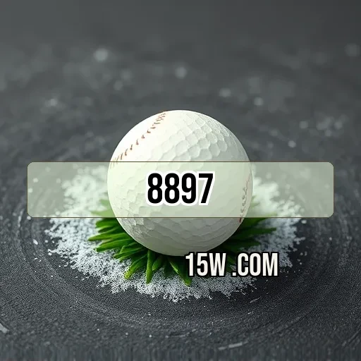 8897.com: Segurança é o que Importa para a Diversão da Sua Aposta